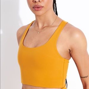 ISO Marigold OR Honey Paloma Bra!!